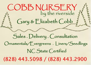 Cobb Tree and Shrub Nursery Morganton, NC